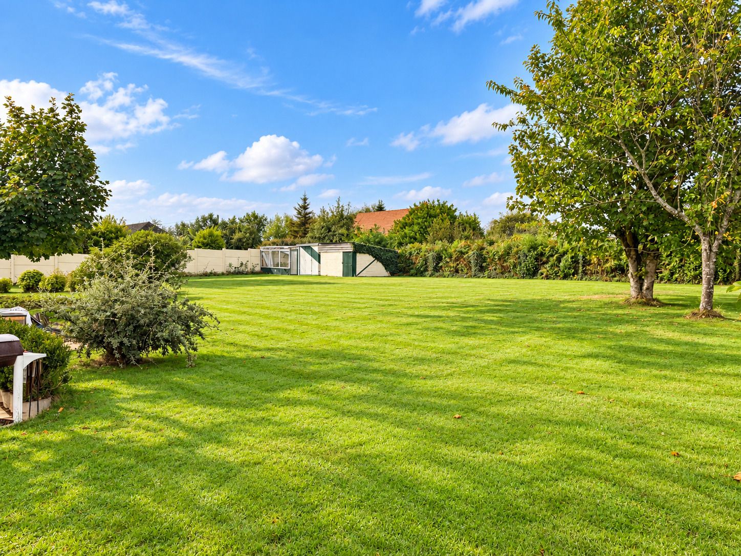 Jardin verdoyant avec serre et cabanon